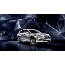 Lexus NX 2014-2017