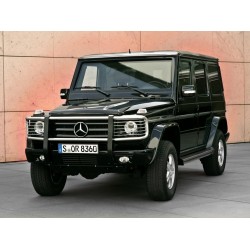 Mercedes-Benz G-Class 2006-2012 (Geländewagen кузов W463 рестайлинг)