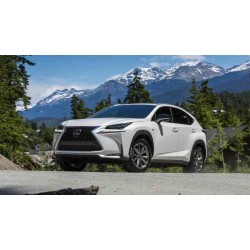 Lexus NX 2017+